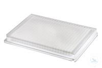 43001-0035 Ritter Riplate� 384-�������� ������� PP, F-Bottom
