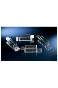 171862 Thermo Scientific - ������ Nunc & Samco ��� ������ SlideFlask ����� ��� ������ SlideFlask 1000