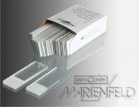 4 520 025 MICRO SLIDES, ��������-������ ������, 76 X 26 ��, ���������
