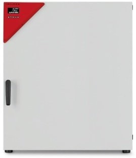 ��������� Binder BD 240 (253�, 100��) Avantgarde.Line