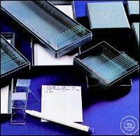 7 131 001 ����� ��� �������� Witeg, � �������, ��� ������� 76X26 MM, PS, PIECES SL