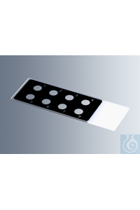 1216750 ���������� ������ ��� ���������� Marienfeld � ������������ �������