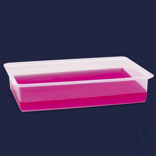 �����, ��, 2 � Isolab