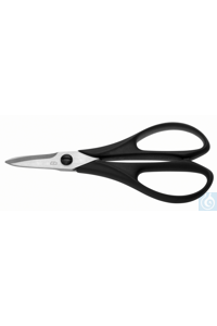 80109170 ������� RSG Hobby, 170��
