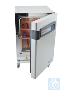50145517 Thermo Scientific - ������������ ������������ Heracell&trade; CO2-��������� VIOS 160i � ������ �������, ������� ��� ...