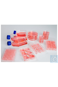 174932 Thermo Scientific - Nunc &amp; Samco Nunclon&trade; Sphera &amp; Trade ������ Nunclon Sphera 6-�������� �������, ���� 7 ...