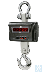 HFM 1T0.1 Kern Crane ���� 100 �: 1000 ��