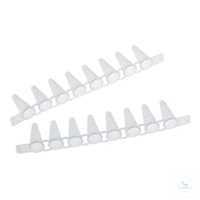 0030124804 Eppendorf PCR Tube Strips 0,1 ��, ��� ������, 10 � 12 �������
