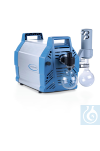 20743600 VACUUBRAND ���������� ���������� ����� MD 12C NT + AK + EK, ���������������, 230 � / 50-60 ��, CEE ma