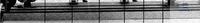 8 000 002 Witeg BASE, WSS, ������� �������, 60 ��