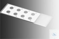 4 521 301 WITEG FLUORESCENT ANTIBODY SLIDE, 75 x 25 x 1 MM, 8 ������� D: 6 MM