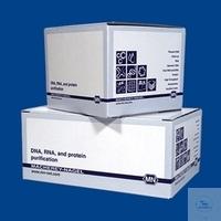 740980.250 Macherey-Nagel NucleoSpin DNA FFPE XS (250)