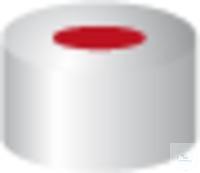 702995 Macherey-Nagel CC N11-H, Si, PTFEr / Sil � PTFEr, 50 � 1,0
