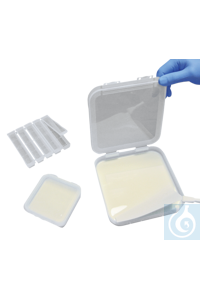 1-1348 neoLab neoLab� Blotting-Behaelter fuer Midi Blots, PVC, 3er Set