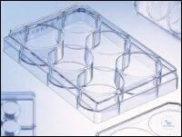 657930 ������� Bio-One CELL CULTURE MULTIWELL PLATE, 6-������, PS, CLEAR, CELLCOAT�, POLY-L-�����, ...