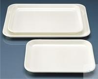 7 089 001 Witeg TRAY INSTRUMENTS, MF, FLAT DESIGN, ����� 190X150 MM, ������ 1
