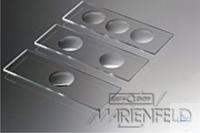 4 520 300 Witeg MICRO SLIDES, ������ ������, 76 � 26 ��, � 3 �������, ������