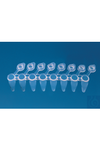781316 ����� ���-�������� � ��������� w.3 ������� / 8 ����� 0,2 �� att.cap �������� �. ���� 120 �.