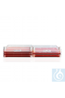 169160 Nunc Nunc &amp; trade; ������������� ��������� ������� � ��������; ������� 1896 �� &amp; sup2; 4 1 3 ������