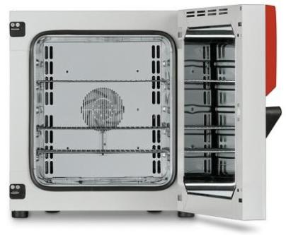 Сушильный шкаф Binder FD 115 (116л, 300°С, ветилятор) Avantgarde.Line