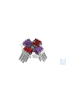 CR-43-10 AHN Biotechnologie 32 x 10 ��, ����� �������, RCF 3164