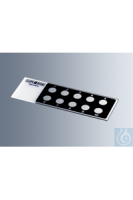 1216690 ���������� ������ ��� ���������� Marienfeld � ������������ �������