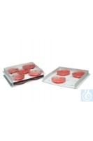 F18983-1000 Bel-Art Products TRAY, ������������ ���������, PP18983-1000