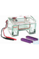 B1A-CST Thermo Scientific Owl &amp; trade; EasyCast &amp; ��������; B1A Mini Gel � A2-OK Multi Gel System ...