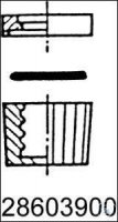 286039206 Duran / DWK Life Sciences ����������� ������������ ����������, � ���������, ��� ������ ��������� ����� SBW, NS 14,5, GL 9