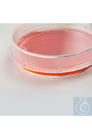 150468 Nunc Nunc &amp; trade; EasYDish &amp; ��������; ������ 145 ��2 150�� ������ 80 21��