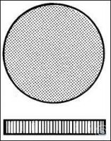 2 350 049 ��������� ����� Witeg, ������� 5 ��. � 00