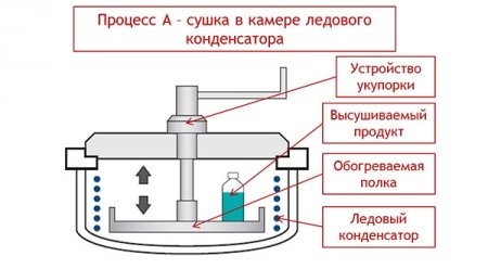 Лиофильная сушилка Beta 2-8 LSCplus