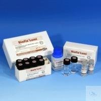 945025 Macherey-Nagel Lumin.bacteria, 10x10